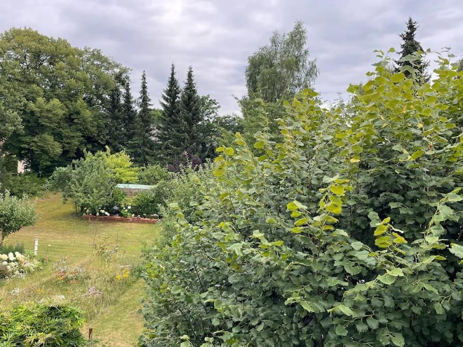 Grosse Wohnung Mit Loggia Templin Kültér fotó